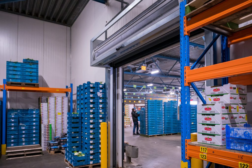 Touch 'n Go Tolkaarthouder - Verstelbare Stick Voor Snel En Krassenvrij Betalen (Blauw)